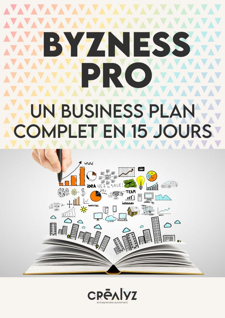 business plan professionnel