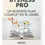 business plan professionnel