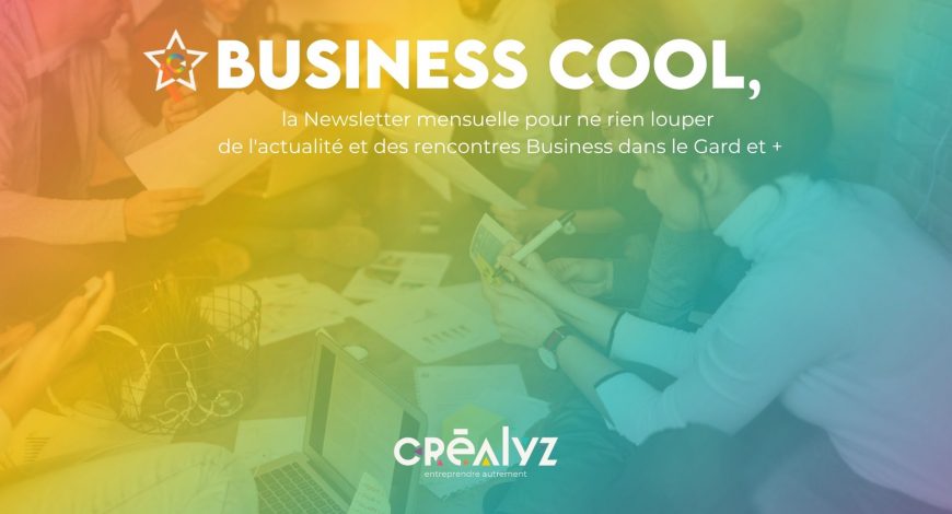 newsletter crealyz business cool